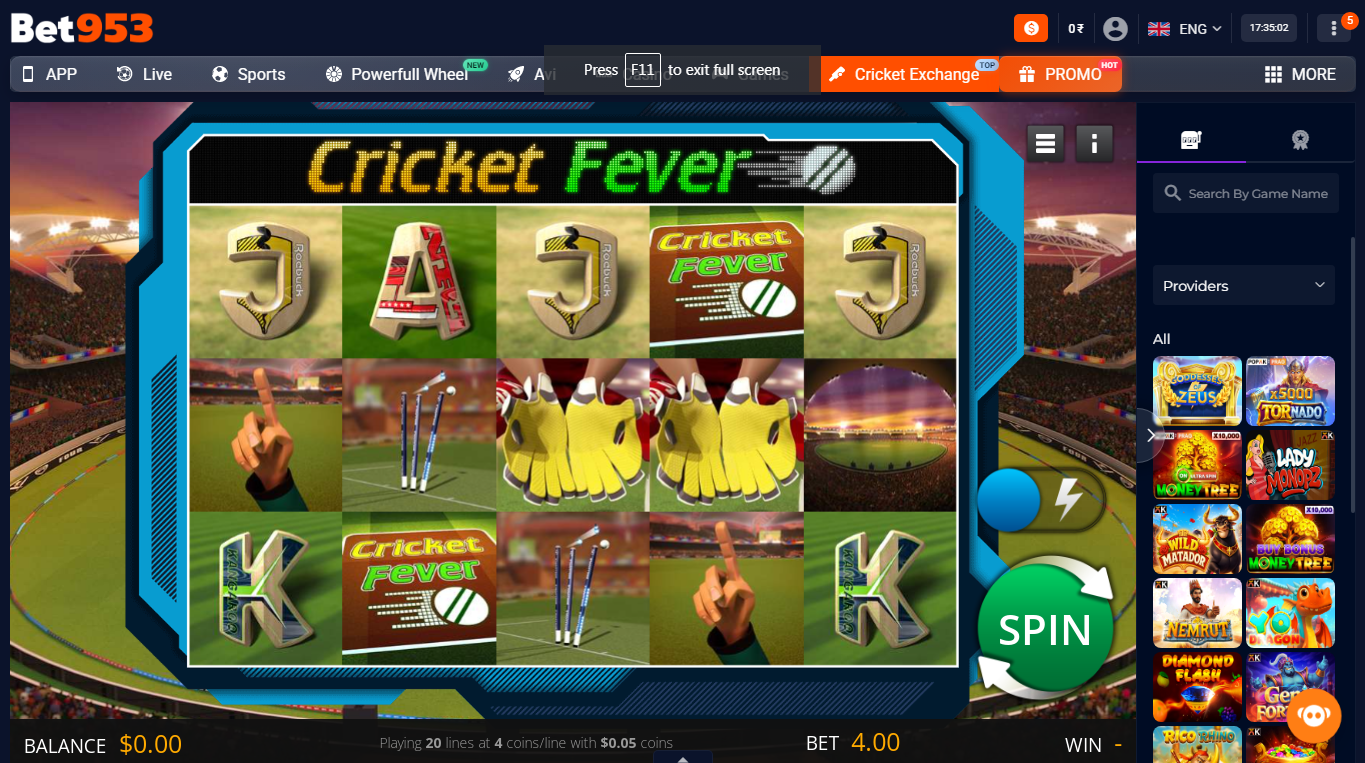 Cricket betting offers guide